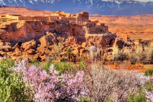 マラケシュ：アトラス山、ベルベルの 3 つの渓谷、アガファイ砂漠