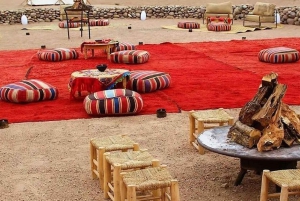 マラケシュ：アトラス山、ベルベルの 3 つの渓谷、アガファイ砂漠