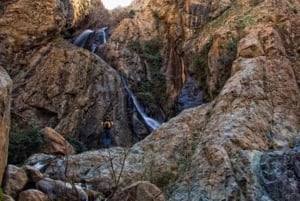 Marrakesh: Atlasgebergte en 3 valleien, wandeltocht naar waterval en lunch