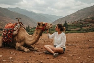 Marrakesh: Atlasgebergte en 3 valleien, wandeltocht naar waterval en lunch