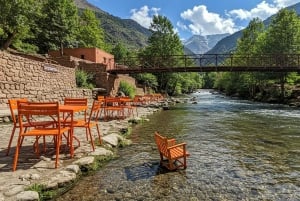 Marrakesh: Atlasgebergte en 3 valleien, wandeltocht naar waterval en lunch