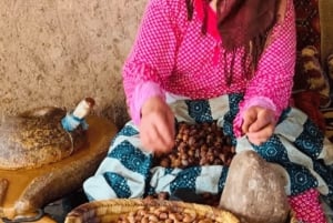 Marrakesh: Atlasgebergte en 3 valleien, wandeltocht naar waterval en lunch