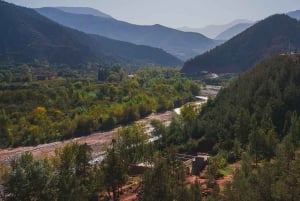 Marrakesh: Atlasgebergte en 3 valleien, wandeltocht naar waterval en lunch