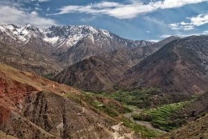 Marrakech: Atlas Mountain, Berber Villages, & Agafay Desert