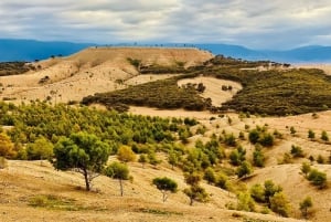 Marrakech: Atlas Mountain, Berber Villages, & Agafay Desert