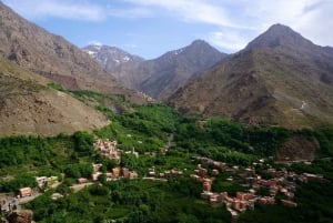 Marrakech: Atlas Mountains, 3 Valleys & Agafay Desert Tour