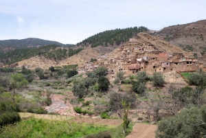 Atlas Mountains and 5 Valleys Day Tour with Lunch