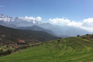 Excursión de un Día a las Montañas del Atlas y los 5 Valles con Almuerzo