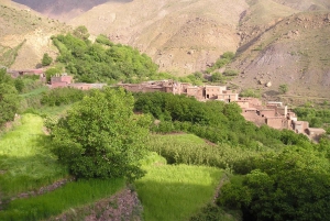 Marrakech: Montañas del Atlas, desierto de Agafay, almuerzo, paseo en camello