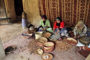Marrakech: Montañas del Atlas, desierto de Agafay, almuerzo, paseo en camello