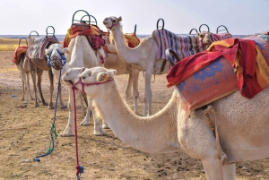 Marrakesh: woestijntour naar Atlasgebergte & Agafay met kameelrit