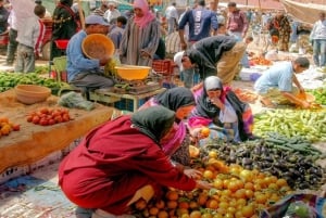 Marrakech: Atlas Mountains & Agafay Desert Tour w Camel Ride