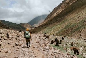 Marrakech: Atlas Mountains & Agafay Desert Tour w Camel Ride