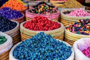 Marrakech: Atlas Mountains & Agafay Desert Tour w Camel Ride