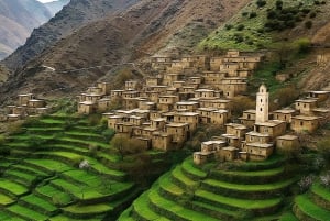 Marrakech: Atlas Mountains & Agafay Desert Tour w Camel Ride