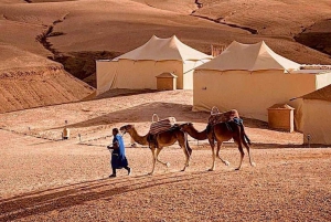 Marrakech: Atlas Mountains & Agafay Desert Tour w Camel Ride