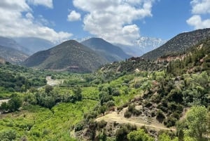 Marrakech: Montagne dell'Atlante, deserto di Agafay, cascata e pranzo