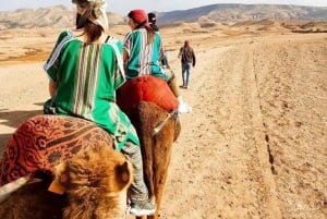 Marrakech: Montagne dell'Atlante, deserto di Agafay, cascata e pranzo