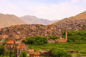 Marrakech: Montagne dell'Atlante, deserto di Agafay, cascata e pranzo