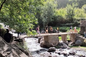 Marrakech: Montagne dell'Atlante, deserto di Agafay, cascata e pranzo
