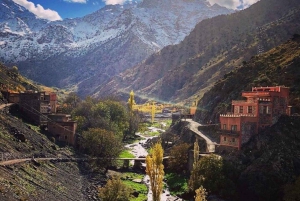 Marrakech: Excursão às montanhas do Atlas e aos 4 vales com almoço