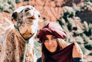 Marrakech: Atlasgebergte en 4 valleien tour met lunch