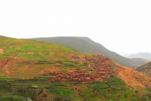 Marrakech: Atlasgebergte en 4 valleien tour met lunch