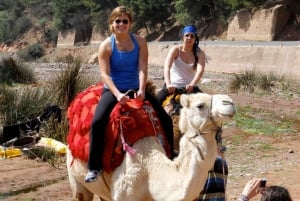 Marrakech : safari en jeep dans l'Atlas et le désert avec déjeuner