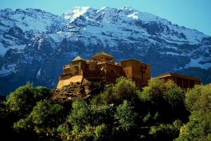 Marrakesz: Góry Atlas i pustynne safari Jeepem z lunchem