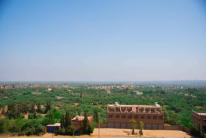 Marraquexe: Cascatas de Ourika e Atlas com almoço