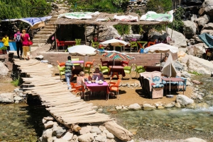 Marraquexe: Cascatas de Ourika e Atlas com almoço