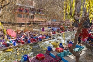 Marraquexe: Cascatas de Ourika e Atlas com almoço