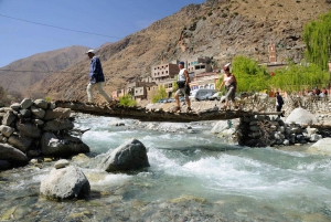 Marraquexe: Cascatas de Ourika e Atlas com almoço