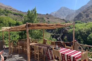 Marrakech: Atlas Mountains and Three Valleys, Full-Day Trip