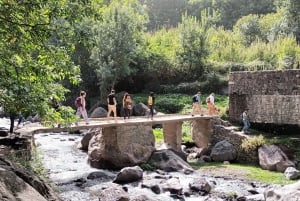 Marrakech: Atlas Mountains, Agafay Desert, Waterfall & Lunch