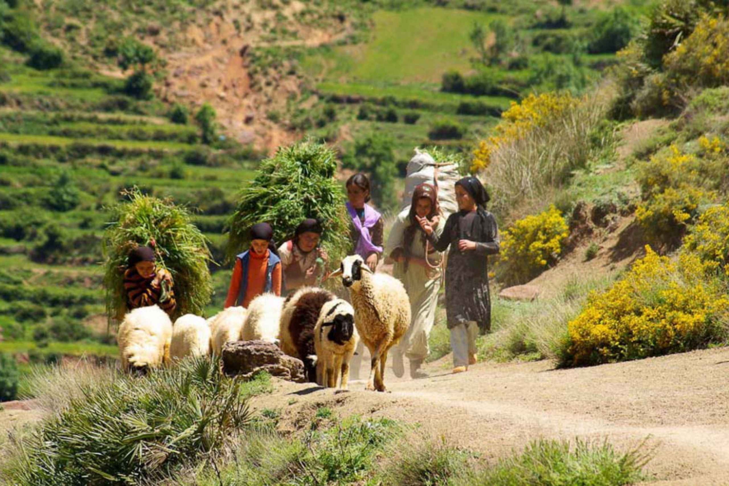 Marrakesch Atlasgebirge, Berberdörfer & Wasserfall Tour