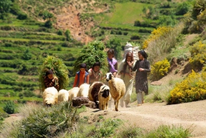 Marrakech Atlas Mountains, Berber Villages & Waterfall Tour
