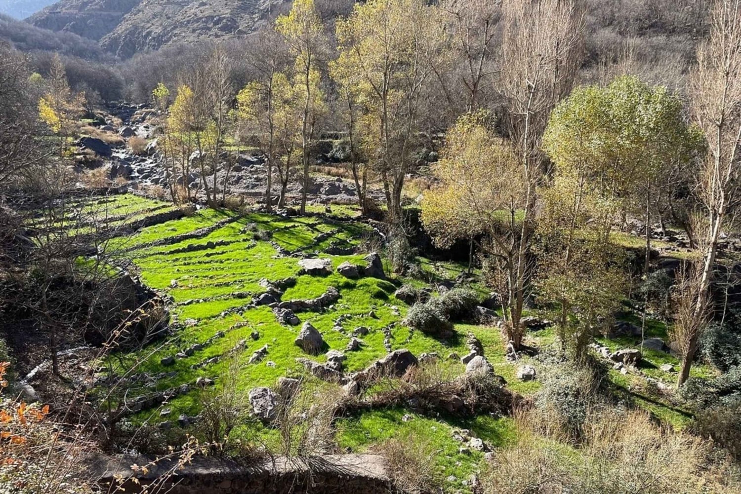 Marrakech: Atlasgebirge, Kamelritt, Wasserfälle und Mittagessen