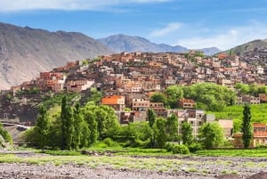 Marrakech: Atlasgebirge, Kamelritt, Wasserfälle und Mittagessen