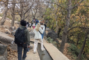 Marrakech: Atlasgebirge, Kamelritt, Wasserfälle und Mittagessen