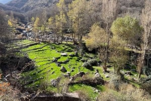 Marrakech: Atlasgebirge, Kamelritt, Wasserfälle und Mittagessen