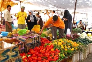 Marrakech: Atlasgebirge, Kamelritt, Wasserfälle und Mittagessen