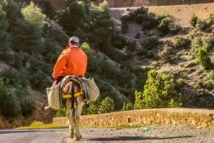 Marrakech : Excursion d'une journée dans les montagnes de l'Atlas, 3 vallées et balade à dos de chameau