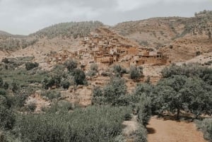Marrakech: Excursión de un día a la cordillera del Atlas, 3 valles y paseo en camello
