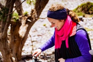 Marrakech : Excursion d'une journée dans les montagnes de l'Atlas et dîner au désert d'Agfay
