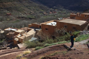 Marrakech : Excursion d'une journée dans les montagnes de l'Atlas et dîner au désert d'Agfay