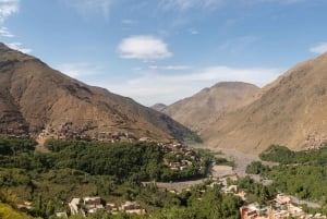 Marrakech : Excursion d'une journée dans les montagnes de l'Atlas et dîner au désert d'Agfay