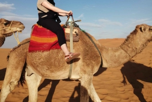 Marrakech : Excursion d'une journée dans les montagnes de l'Atlas et dîner au désert d'Agfay