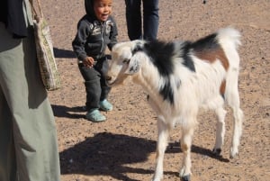 Marrakech : Excursion d'une journée dans les montagnes de l'Atlas et dîner au désert d'Agfay