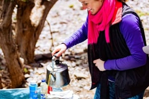 Marrakech : Excursion d'une journée dans les montagnes de l'Atlas et dîner au désert d'Agfay